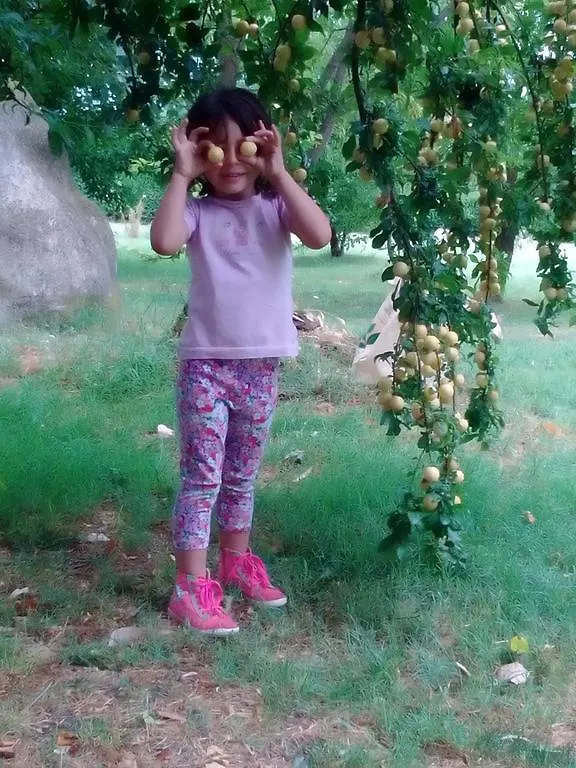 Antico Casale Dei Sogni Agriturismo Lugo  0*, Lugo (Ravenna) Italy